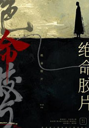 ������Ƭ