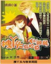 קѾͷ��У������