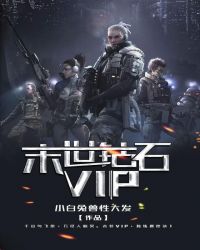 ĩ����ʯVIP