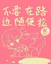 ��Ҫ��·�������̣�