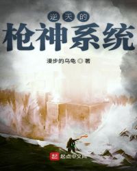 �����ǹ��ϵͳ